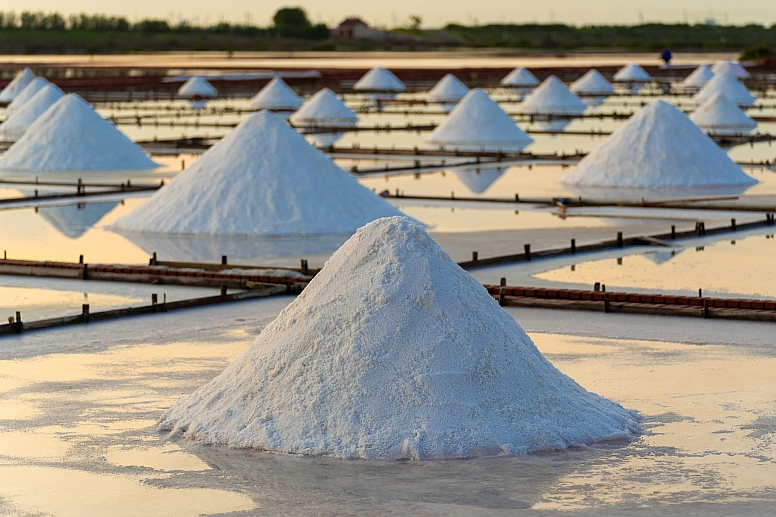 salt field