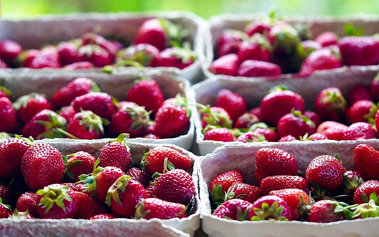 strawberries seasonal produce